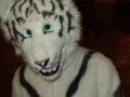 DSCF2891.JPG